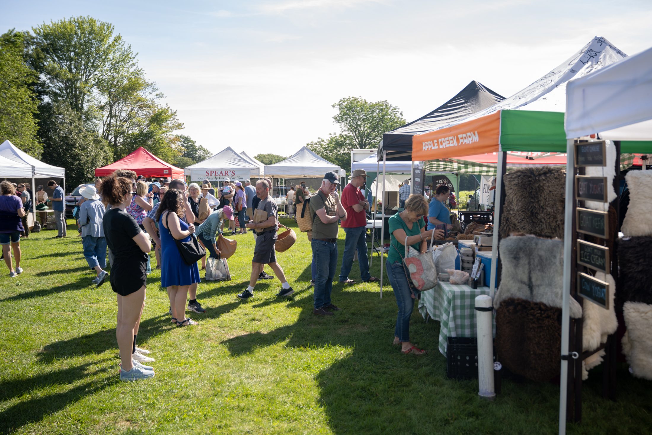 FM Week 2023 - Credit Sean Thomas - Market Green (3)