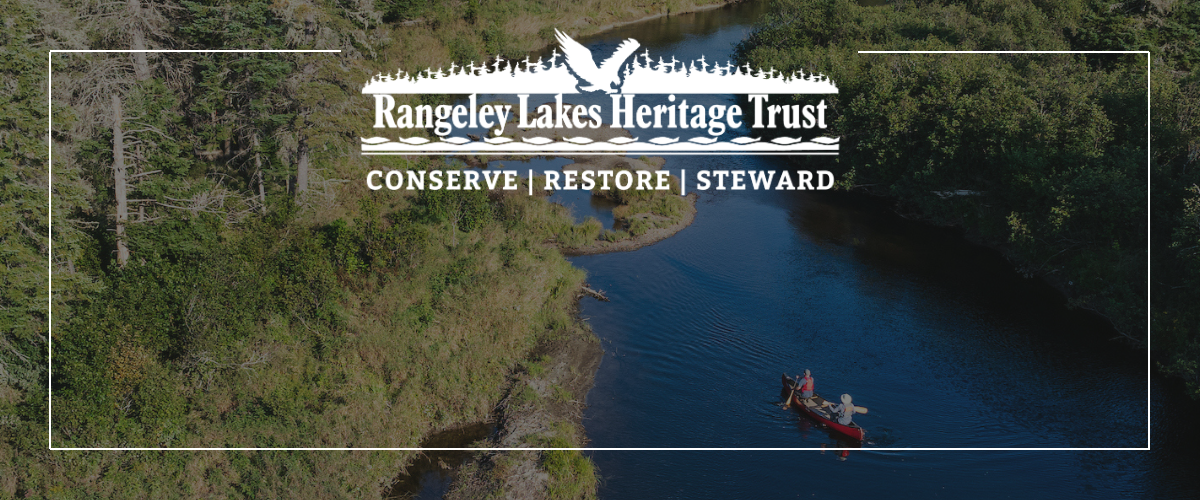 RLHT Brand Header_CRS