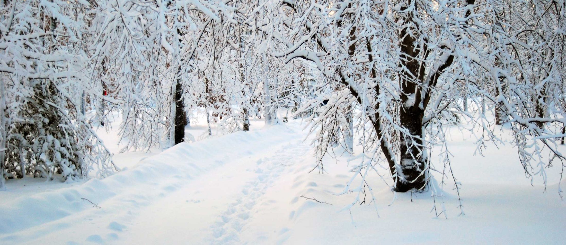 mcht-Kennebunk-2400wb