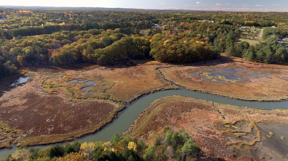 Cousins-River-Marsh-frontage