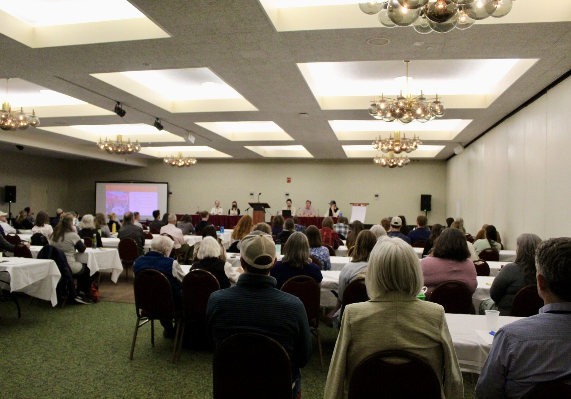 Conference 2025 - Workshops