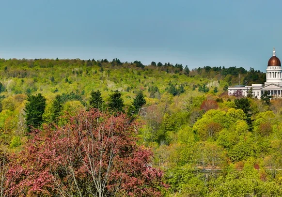 curtis1